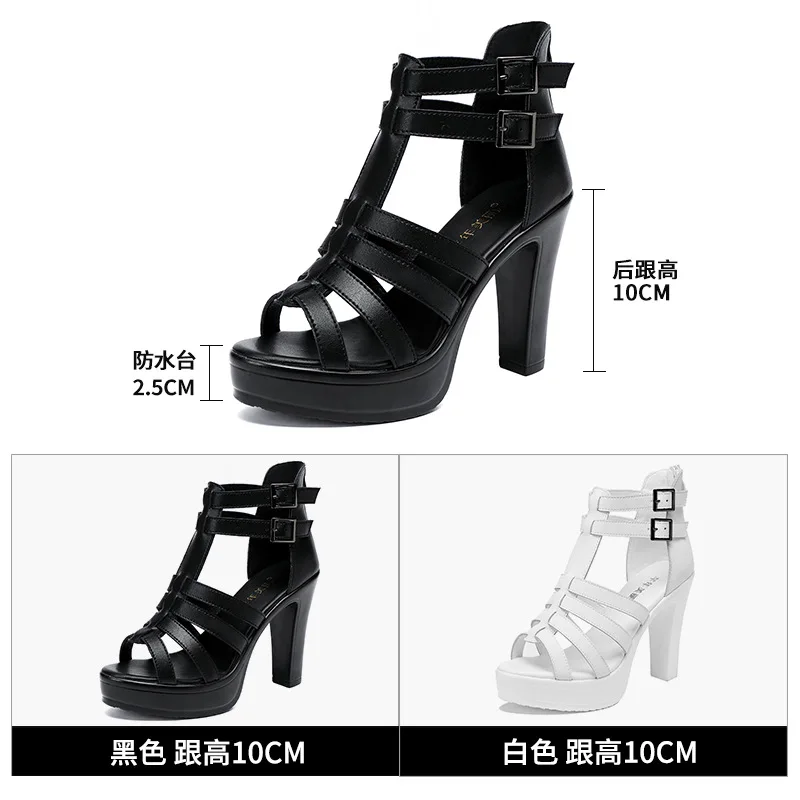 Gladiator Buty Damskie dla San – Women'S Shoes Quality recenzja i cena